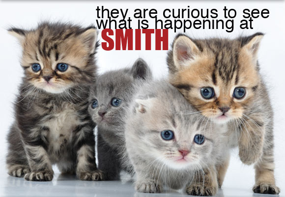 Smith Animal Clinic