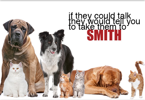 Smith Animal veterinary clinic vet care for dogs, cats, horses Crown Point