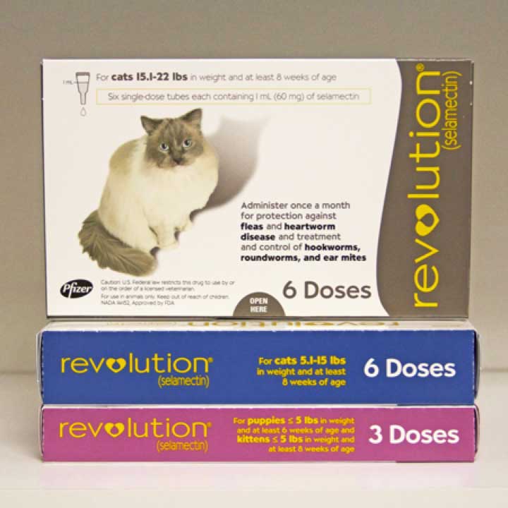 revolution cat sizes